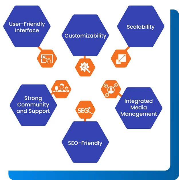 Why to select us for Umbraco Development?