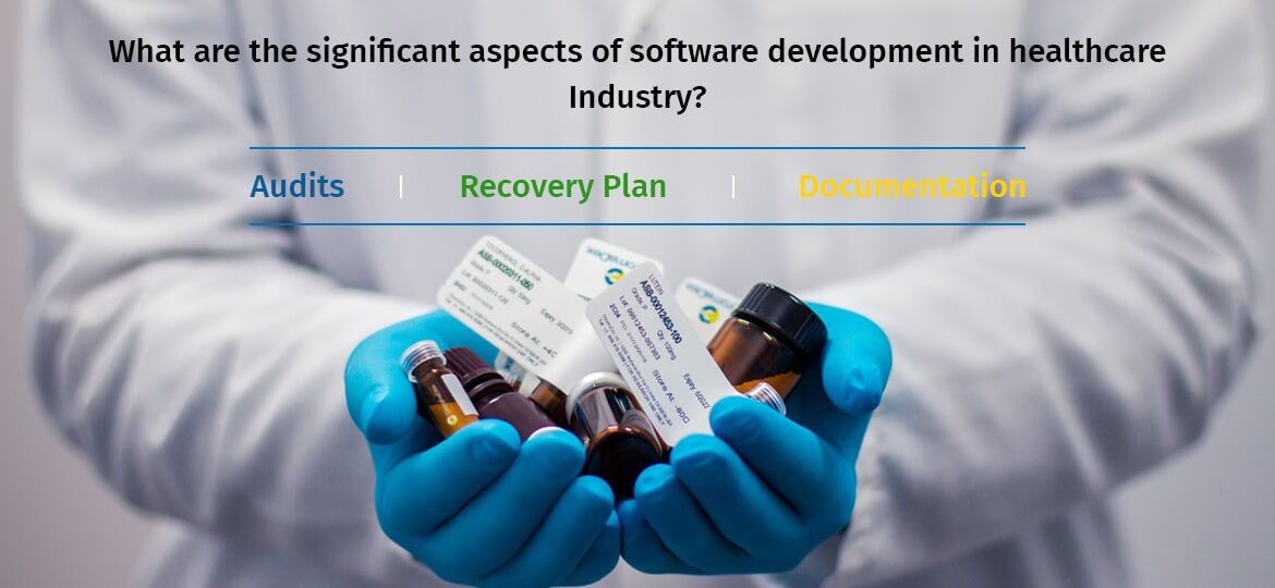 What are the significant aspects of software development in healthcare Industry?